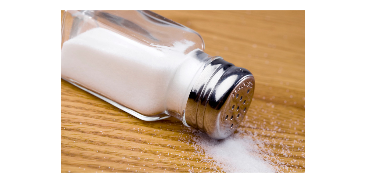 Does salt kill fleas