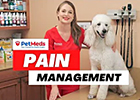 Pain Management with Dr. Lindsay Butzer