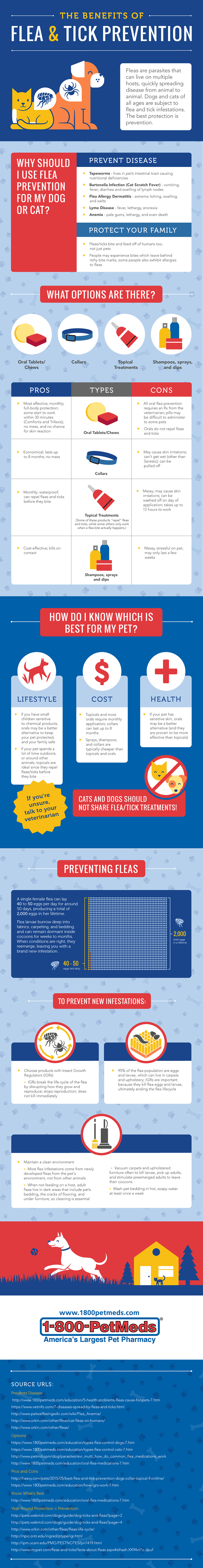 Best Flea and Tick Prevention Infographic