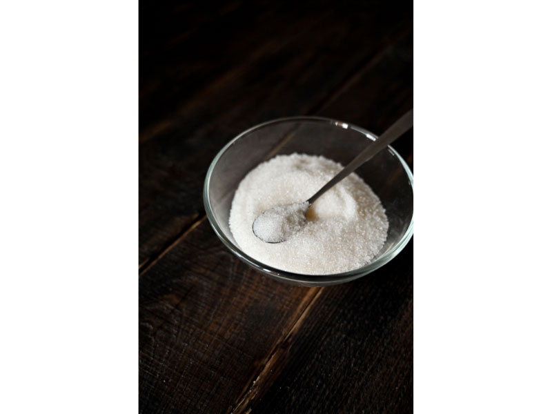 Dog eating cheese Xylitol Toxicity in Pets