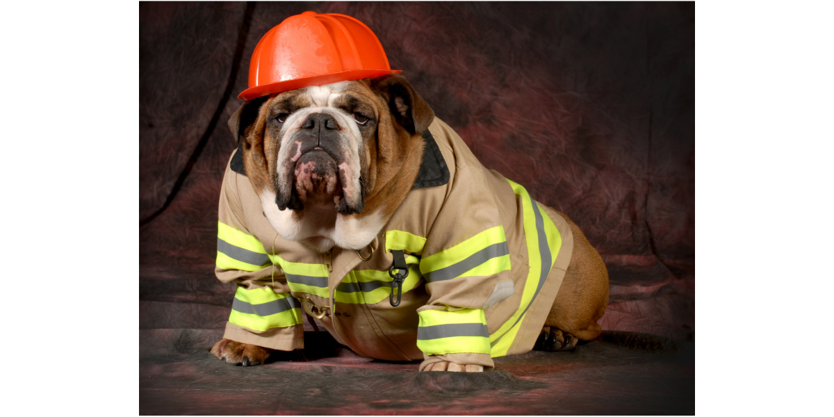 Pet fire safety