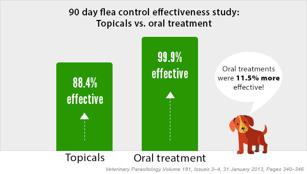 Oral flea treatments are 11.5% more effective than traditional topical treatments