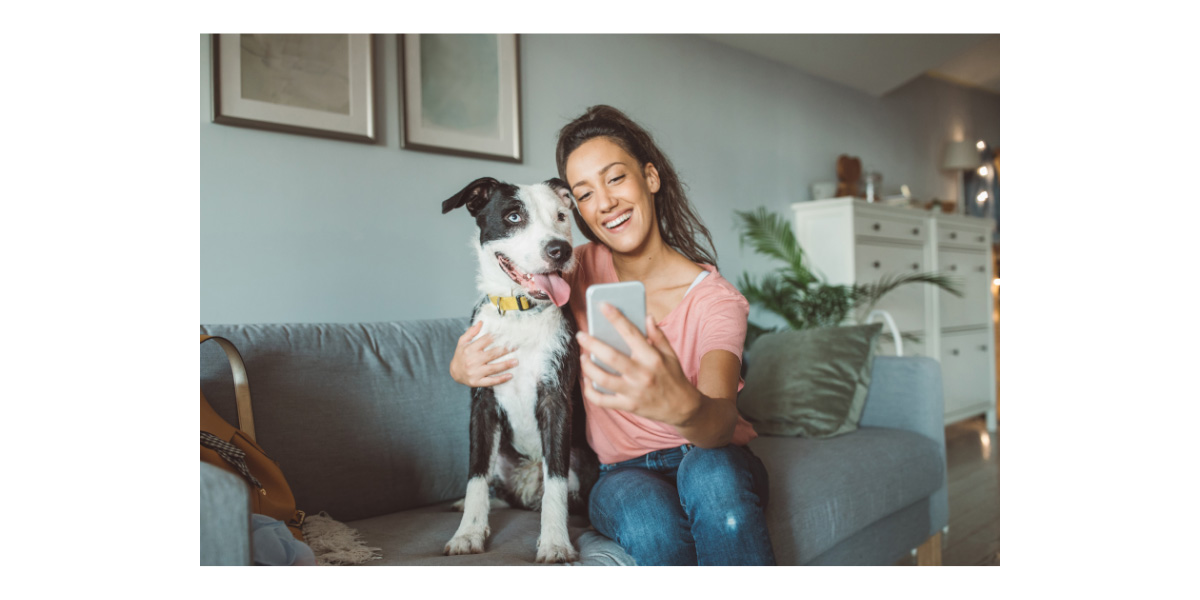 7 Stress Busting Tips for Moving with Pets