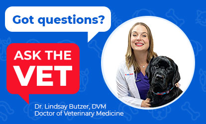 Have a pet health question you need answered? Our vet team is here to help!