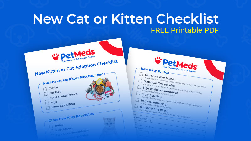 The PetMeds Everything Guide To Your New Cat