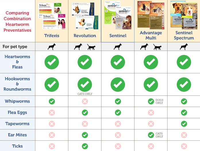 Compare combination heartworm and flea prevention medications