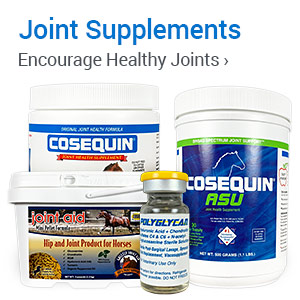 Joints & Supplements