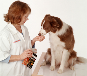 Pet Meds sells top selling pet medicines but for less