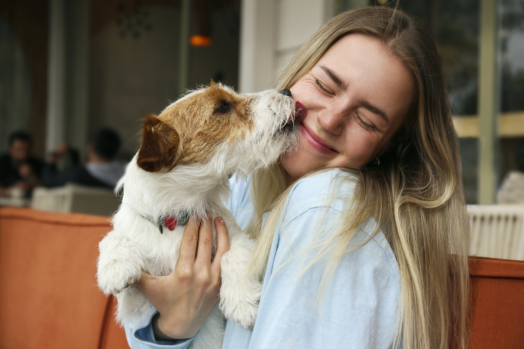 Jack Russell Terrier licking pet parent’s cheek outside on dog-friendly coffee house patio.