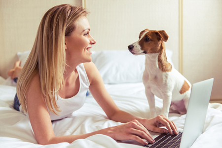 prescription pet meds online