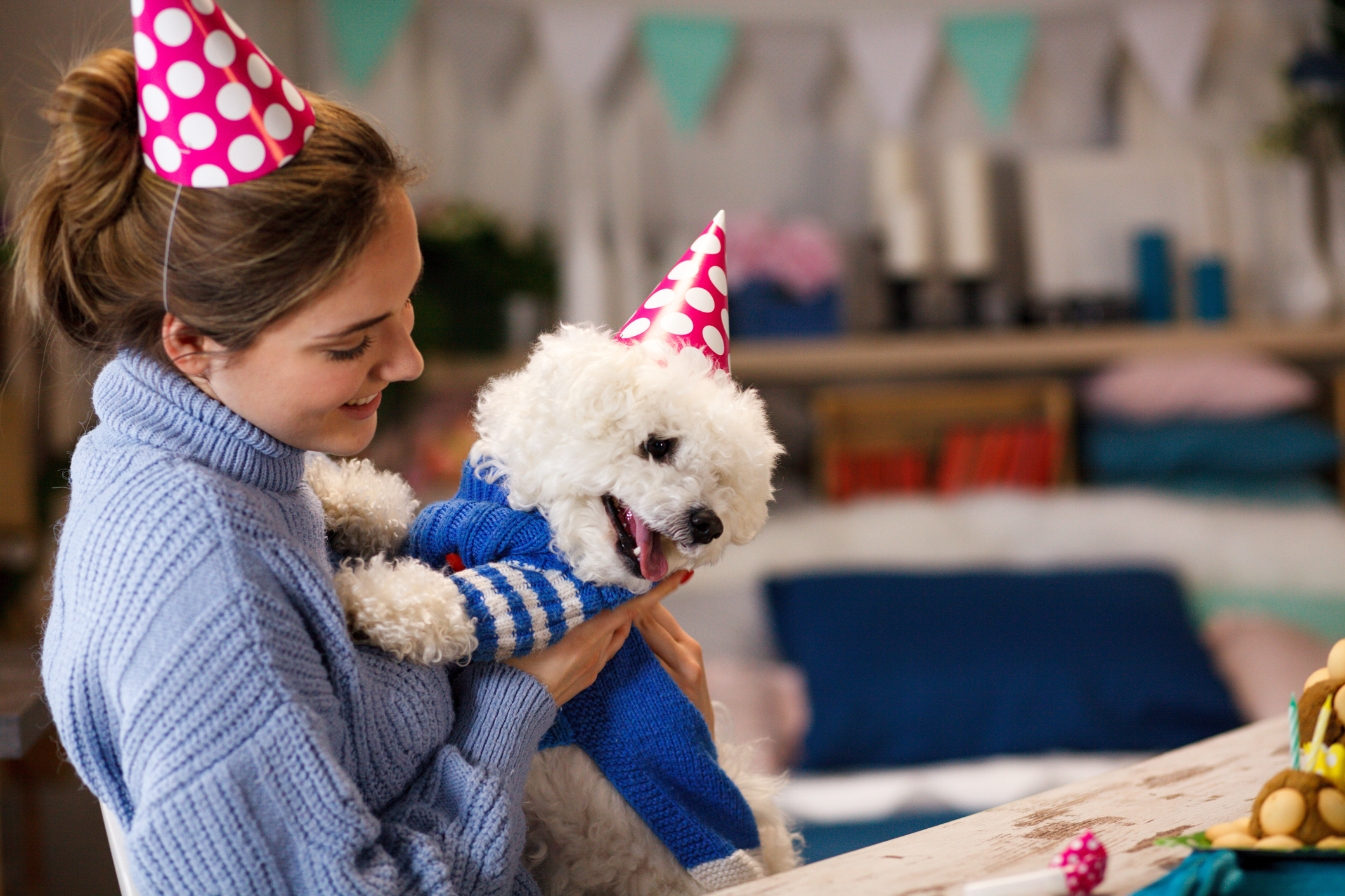 Pet parent holding happy toy poodle looking at party treats for Universal Shelter Dog Birthday