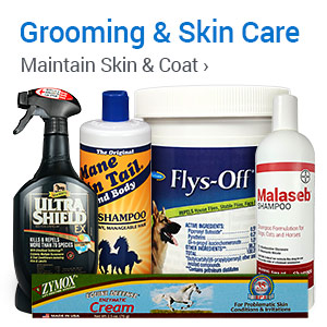 Grooming & Skin Care