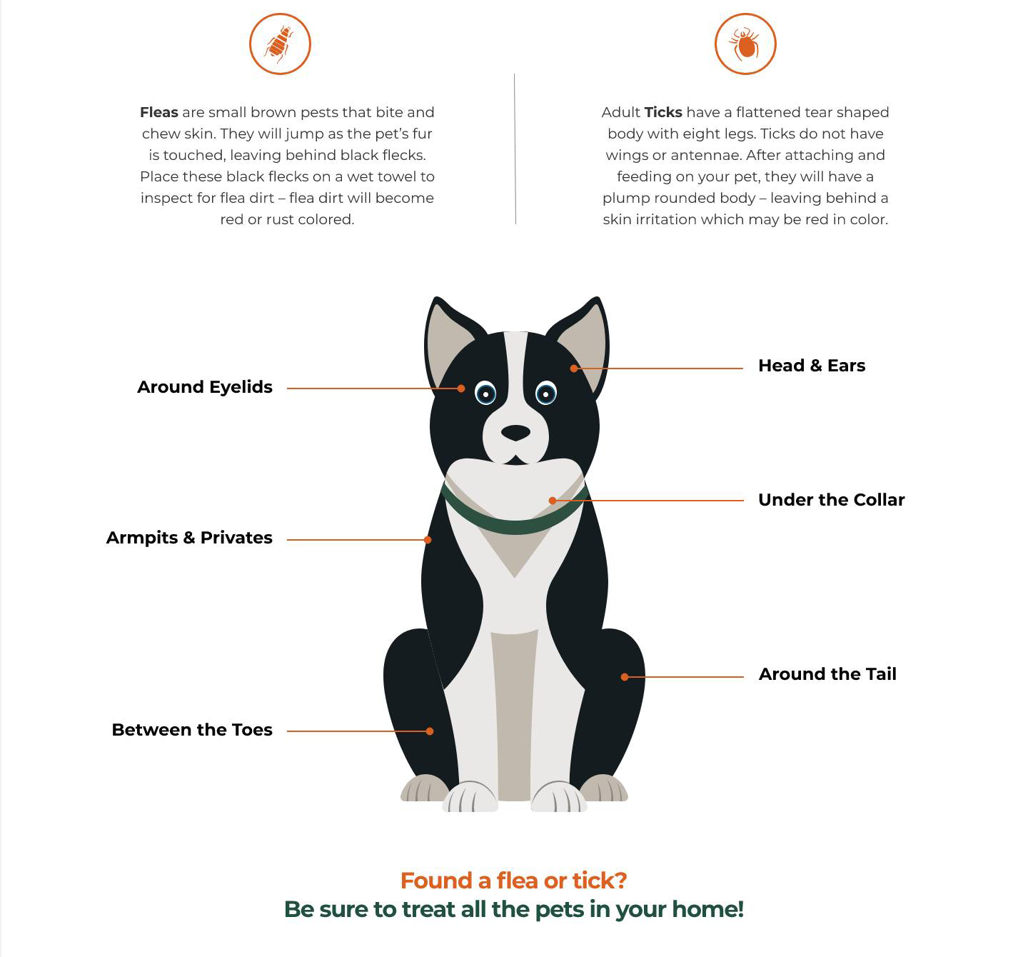 How to Check & Identiy