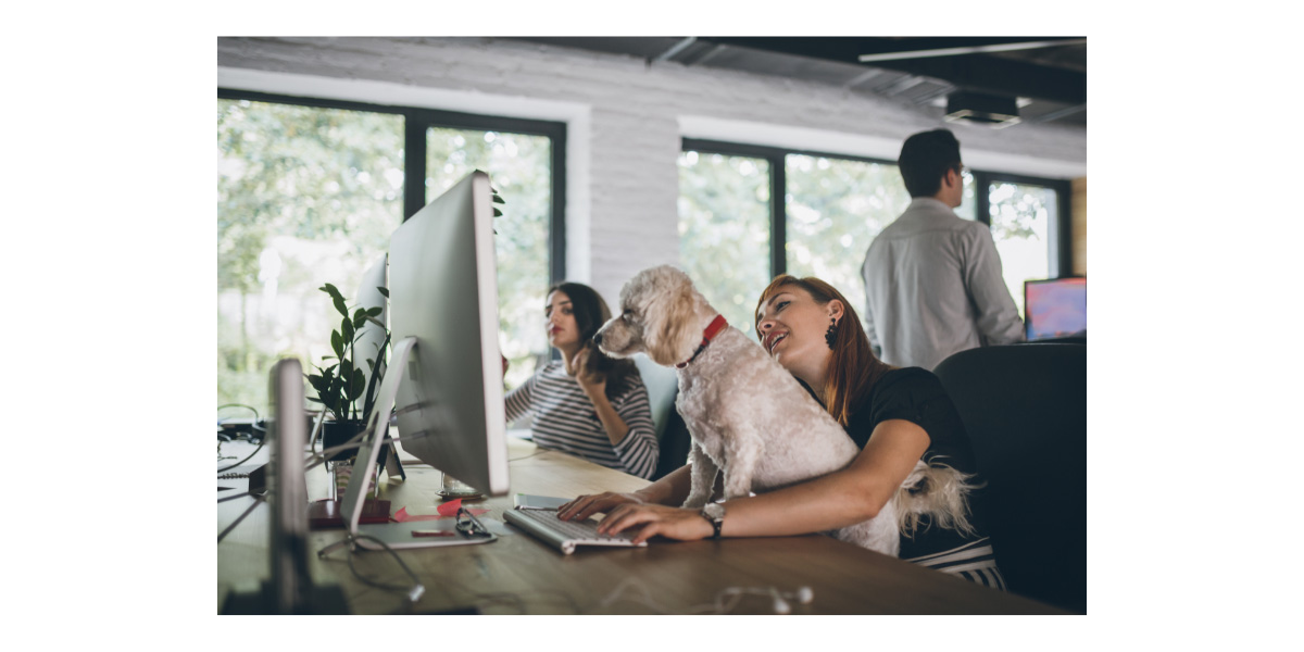 Create A Pet-Friendly Workplace
