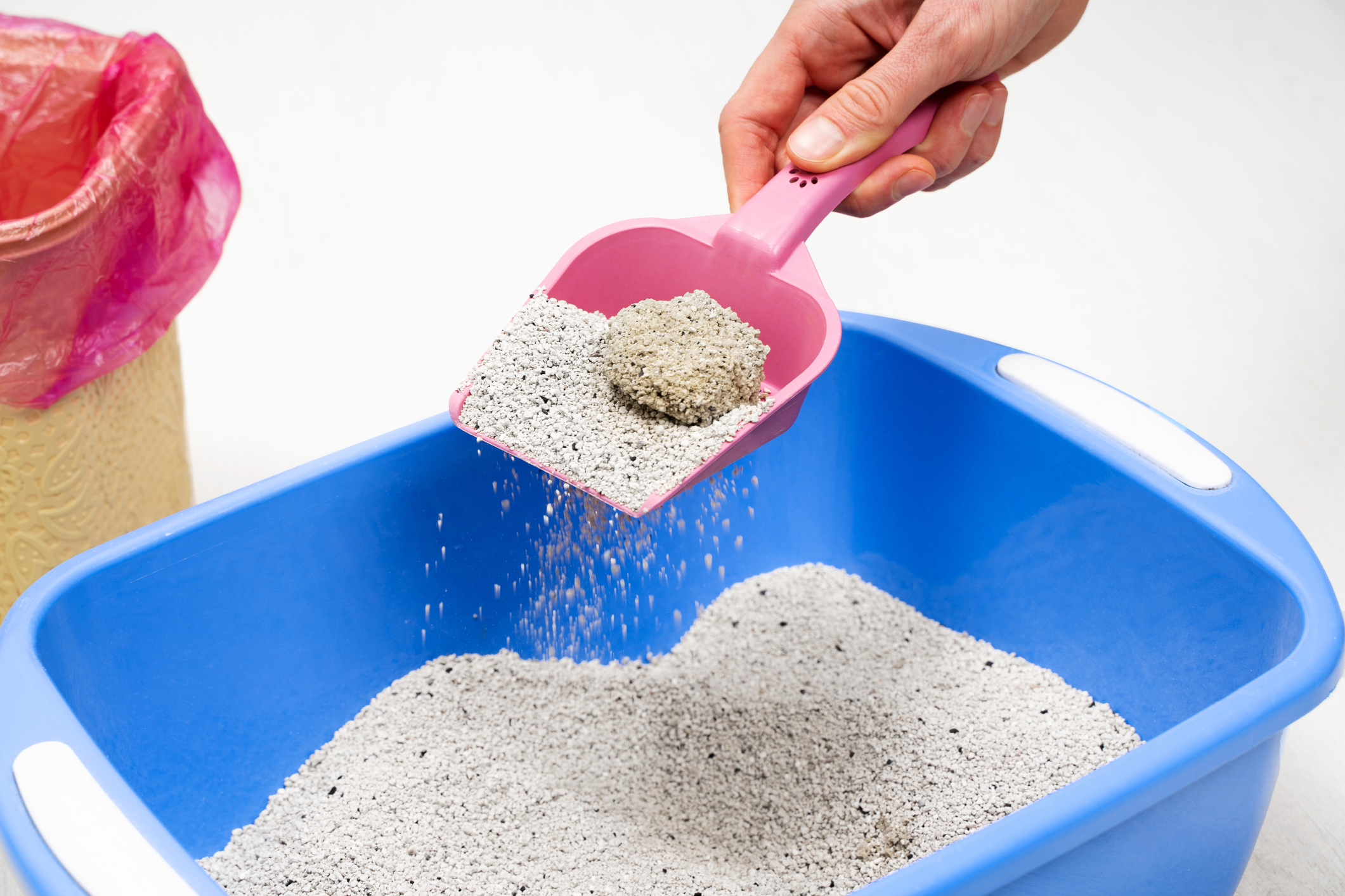 Closeup of person scooping clumping cat litter