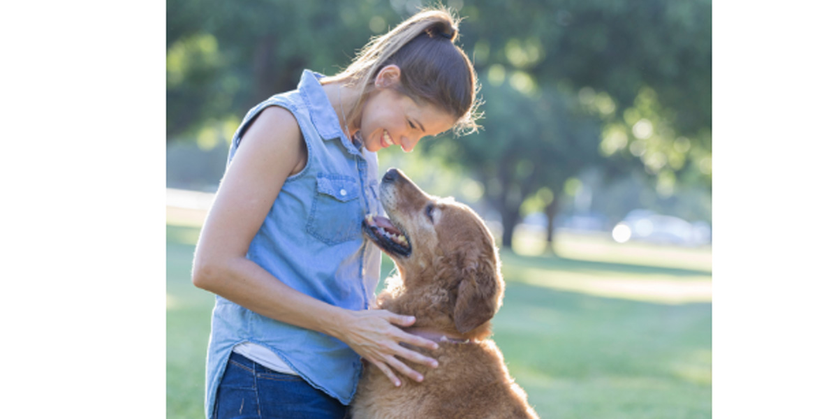 10 Ways To Help Your Pet Live A Long Healthy Life