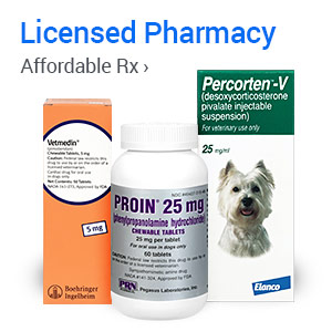 affordable pet meds