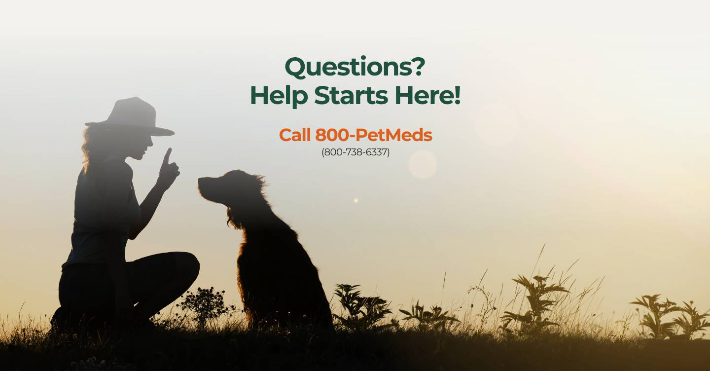 Questions? Help Starts Here!