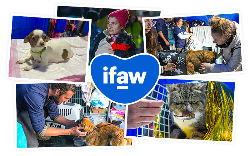 PetMeds will donate to IFAW