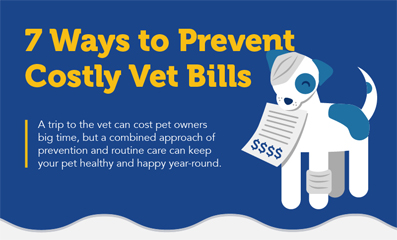 Veterinary care can add up quickly! Check out this handy infographic with tips to help prevent costly vet visits and improve your pet's quality of life