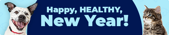 Happy, HEALTHY, New Year!