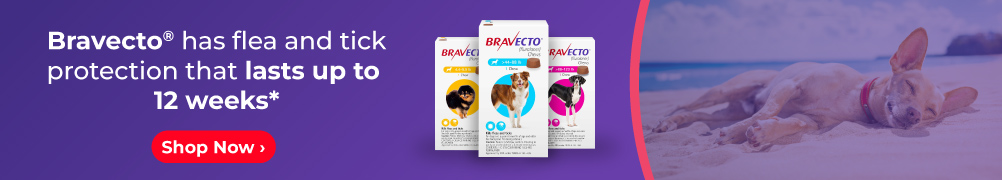 Bravecto has flea and tick protection that lasts and lasts