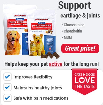 Advantage Multi For Dogs And Cats Free Shipping 1800petmeds
