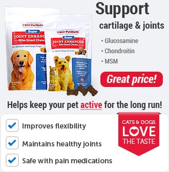 discount meds for dogs