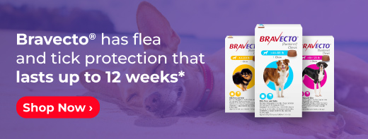 Bravecto has flea and tick protection that lasts up to 12 weeks*