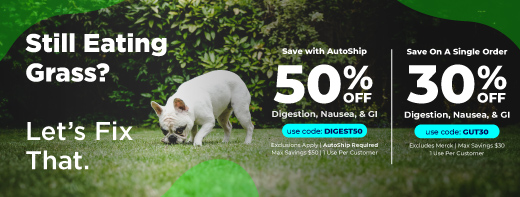 Save up to 50% on Digestive Support & Enzymes and Nausea & Motion Sickness