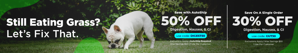 Save up to 50% on Digestive Support & Enzymes and Nausea & Motion Sickness