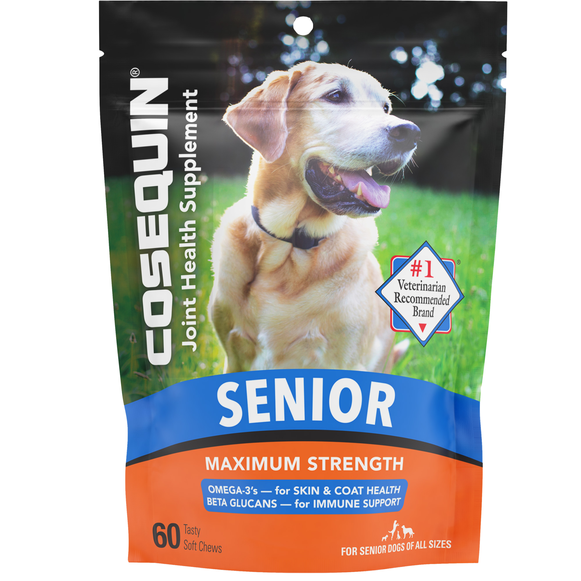 Nutramax Cosequin Senior Joint Health Supplement for Senior Dogs - With Glucosamine, Chondroitin, Omega-3 for Skin and Coat Health and Beta Glucans for Immune Support Usage