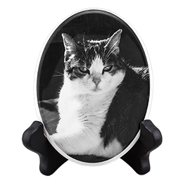Pet Photo Porcelain Oval Collectible Usage