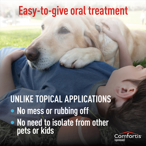 Comfortis is an easy-to-give oral treatment that doesn't make a mess