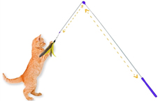 Jackson Galaxy Telescoping Wand Cat Toy Usage