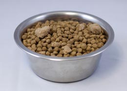 Wysong Optimal Performance Dry Dog Food Usage