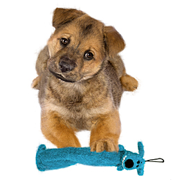 Unstuffed Light Weight Loofa Dog Toy Usage