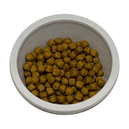 royal canin maine coon adult