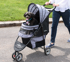 Gen7Pets Regal Plus Pet Stroller Usage