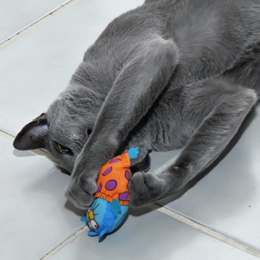 Fat Cat Catnip Toy Usage