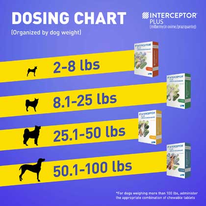 Interceptor Plus Dosing Chart: 2-8 pounds, 8.1-25 pounds, 25.1-50 pounds, 50.1-100 pounds