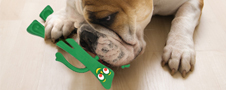 Gumby Dog Toy Usage