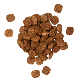 Eukanuba Large Breed Adult Dry Dog Food Usage