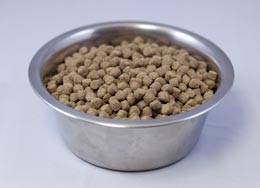 Wysong Anergen Dog & Cat Dry Food Usage