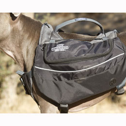 Cesar Millan Dog Backpack Usage