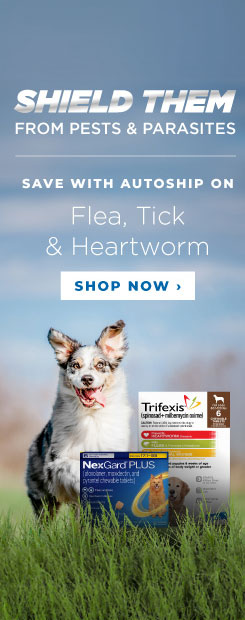 Save up to 40% OFF Flea, Tick and Heartworm Products