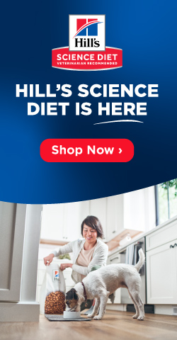 Win a Year's Supply of Hill's - Enter Now