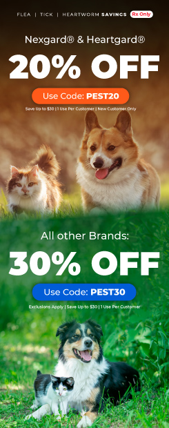 Save 30% on Rx Flea & Tick and Heartworm