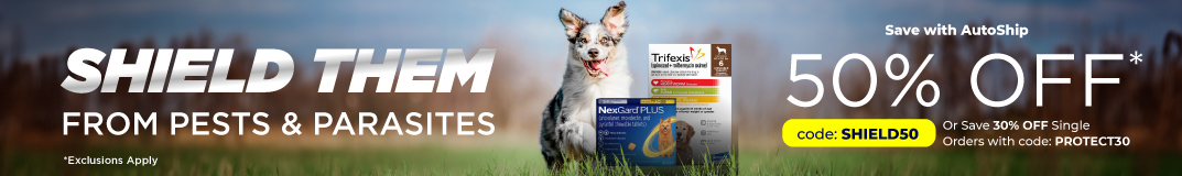 Save 50% on Flea & Tick and Heartworm