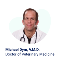 Dr. MichaelDym